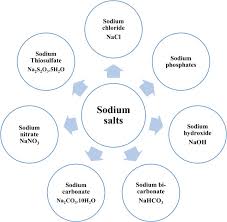 Sodium Salt An Overview