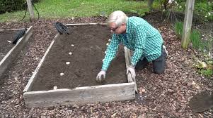 How I Plant Potatoes In A Raised Bed