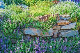 How To Create A Rockery In Your Garden