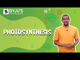 Photosynthesis Is A Process