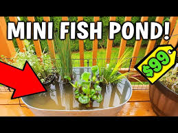 Easy Diy Mini Deck Or Patio Pond Setup