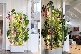 This Indoor Garden Lets You Grow Up To