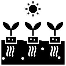 Hydroponic Soilless Agriculture Future