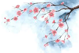 Watercolor Cherry Blossom Wallpaper