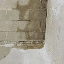 Damp Basement Here S How To Get It Dry