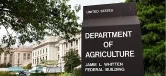Report Agency Reorganization Plans