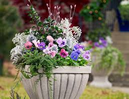 Cool Colored Fall Container Ideas