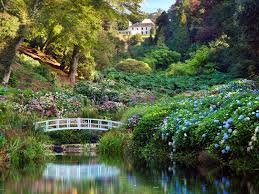 Trebah Garden Bespoke Website Design