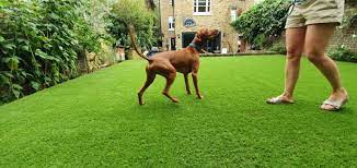Is Artificial Grass Safe For Pets