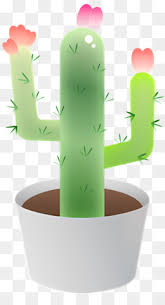 Free Icon Cactus Plant White