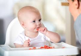 Baby Led Weaning What You Need To Know