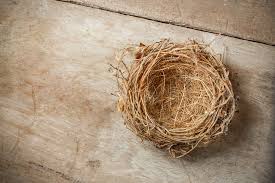 Empty Nest Households Are On The Rise