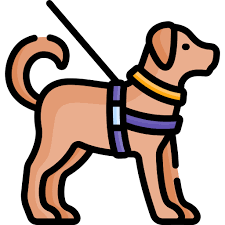 Guide Dog Special Lineal Color Icon