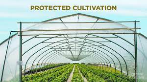 What Is Protected Cultivation