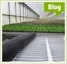 Plant Cultivation In Spring Effective