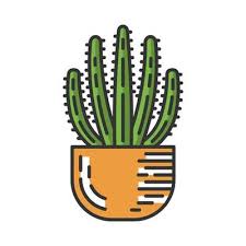 Organ Pipe Cactus In Pot Color Icon