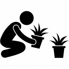 Plant Pot Vase Icon