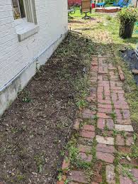 Narrow Space Native Plant Garden