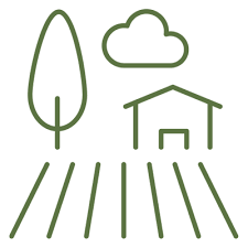 Home Grow Your Own Kits