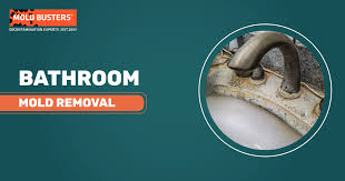 Effective Bathroom Mold Removal Service