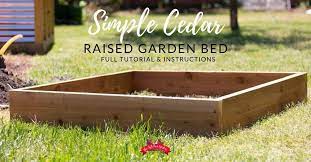 How To Build A Cedar Raised Garden Bed