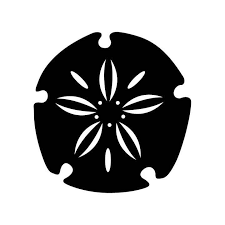 Sand Dollar Instant 1 Vector