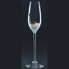 Stemware Acrylic Champagne Flute