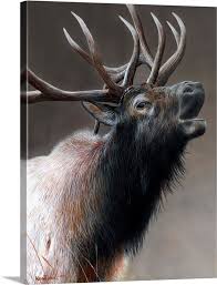 American Icon Elk Large Solid Faced Canvas Wall Art Print Great Big Canvas