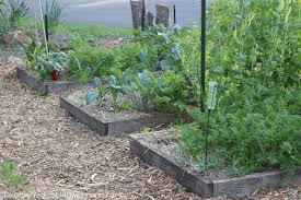 Easy Raised Garden Bed