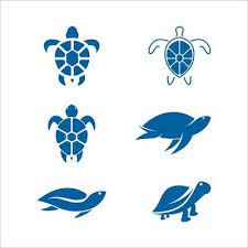 Turtle Top View Vector Art Icons And