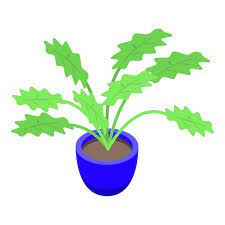 Big Leaf Plant Pot Icon Isometric