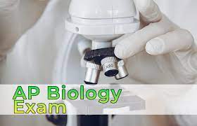 Ap Biology Exam 2023 The University
