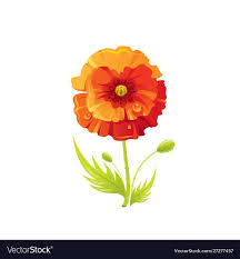 Red Poppy Flower Fl Icon