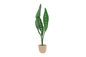 Aesthetic Long Leaf Plant Icon Graphic