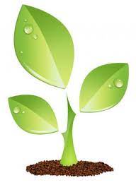 Plant Icon Transpa Plant Png