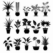 Palm Pot Plant Icon Set Palm Plant
