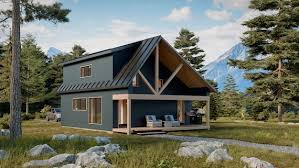 765 Sf Affordable Small Home Adu Cabin