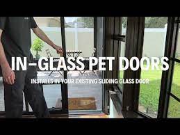 Dog Pet Doors Installations Gainesville