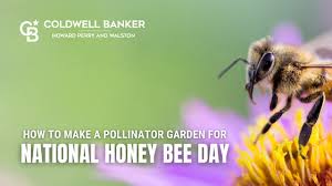 National Honey Bee Day