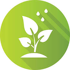 Seedling Icon Png Images Vectors Free