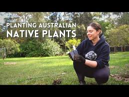 Planting An Australian Native Garden