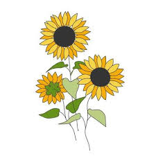 Sunflower Flowers And Leaves Design