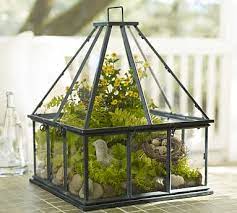 Tabletop Greenhouse Pottery Barn