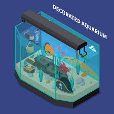 Architectural Aquarium Vectors