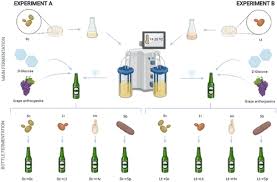 Sensory Profile Of Craft Beers