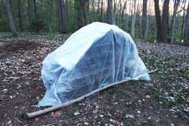 How To Build A Survival Shelter The