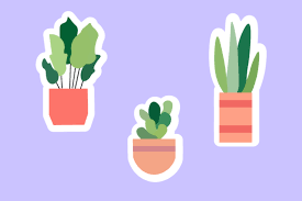 Plant Green Garden Design Icon Stickers