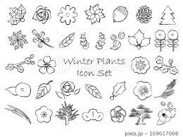 Winter Plant Icon Set Line Drawing