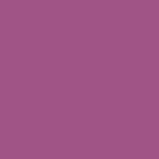 Violet Paint Colours Interior