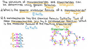Molecular Formula Of A Monosaccharide